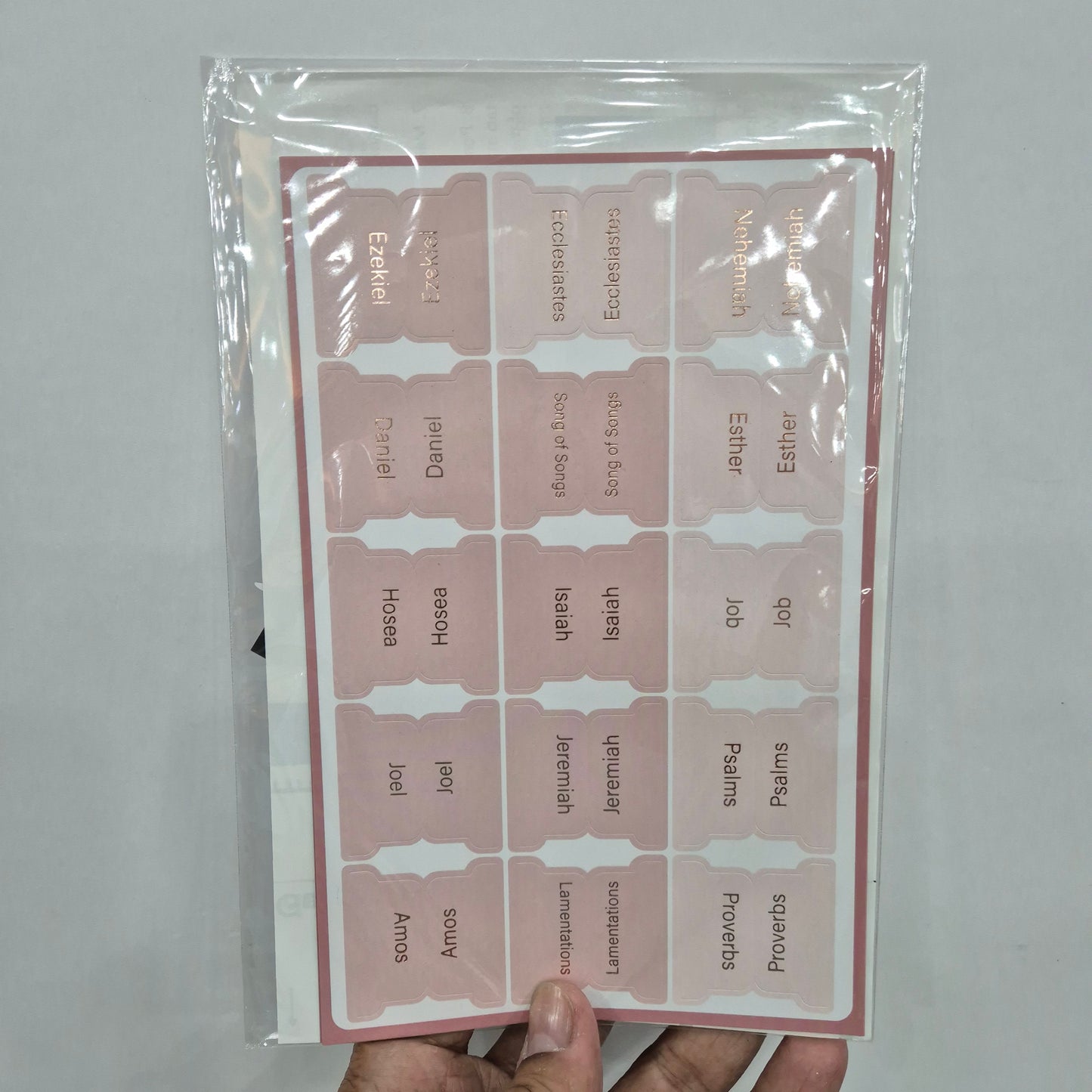 Bible Tabs Blush
