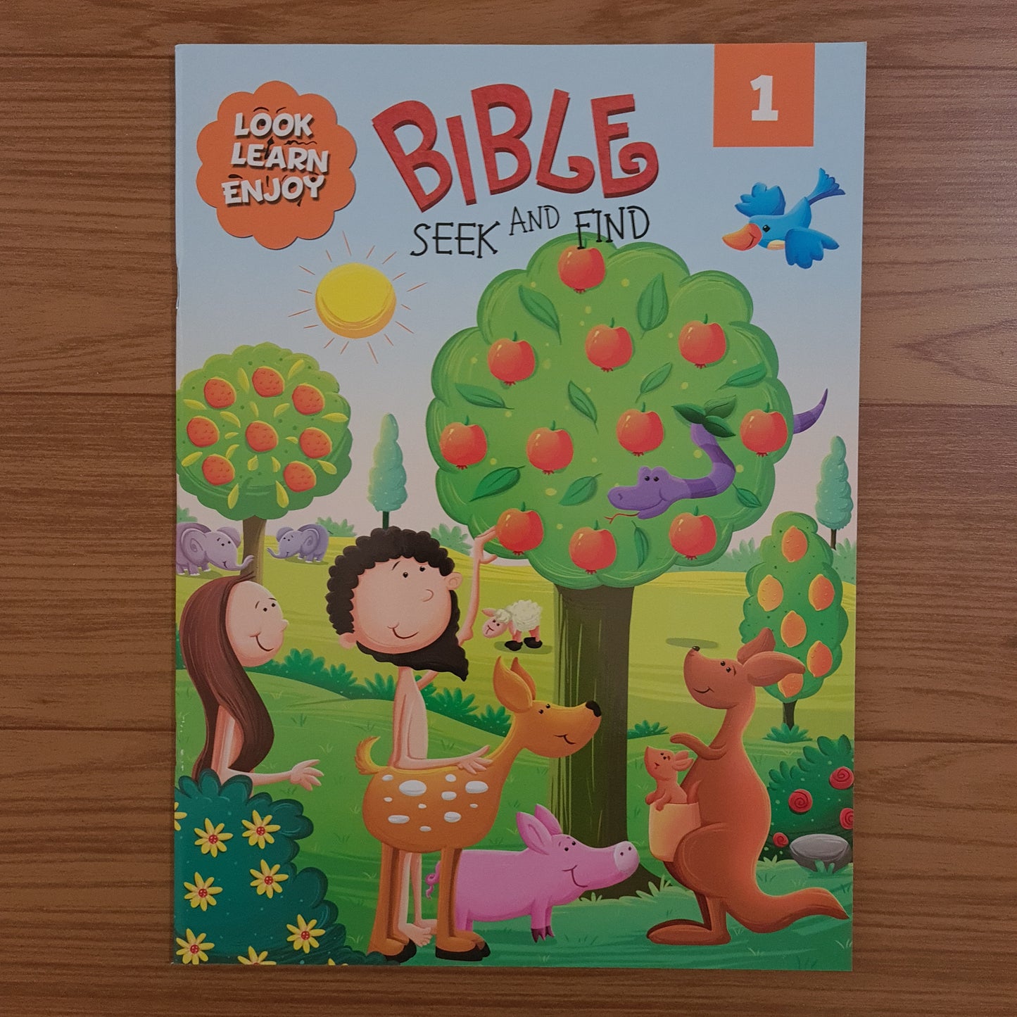 Bible Seek and Find Activity Book