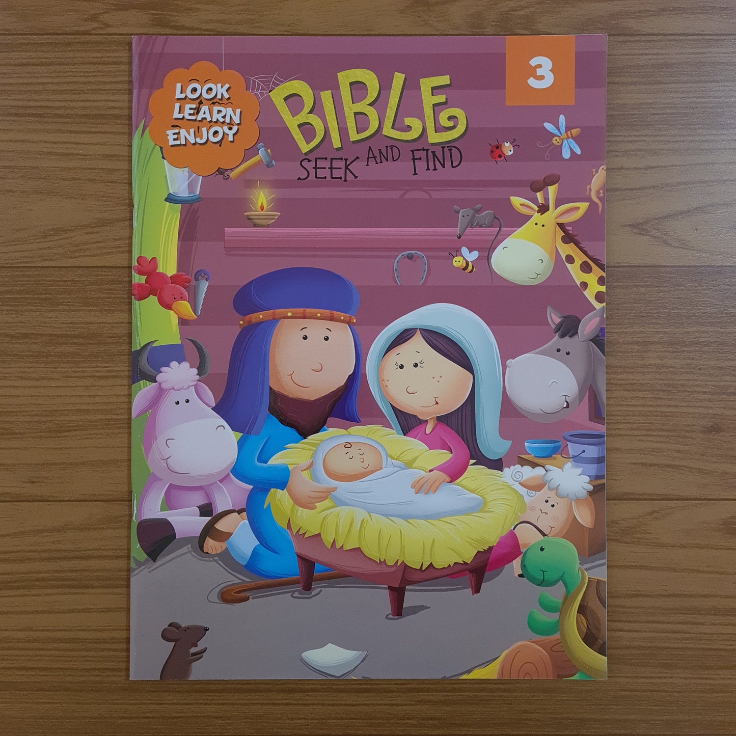 Bible Seek and Find Activity Book