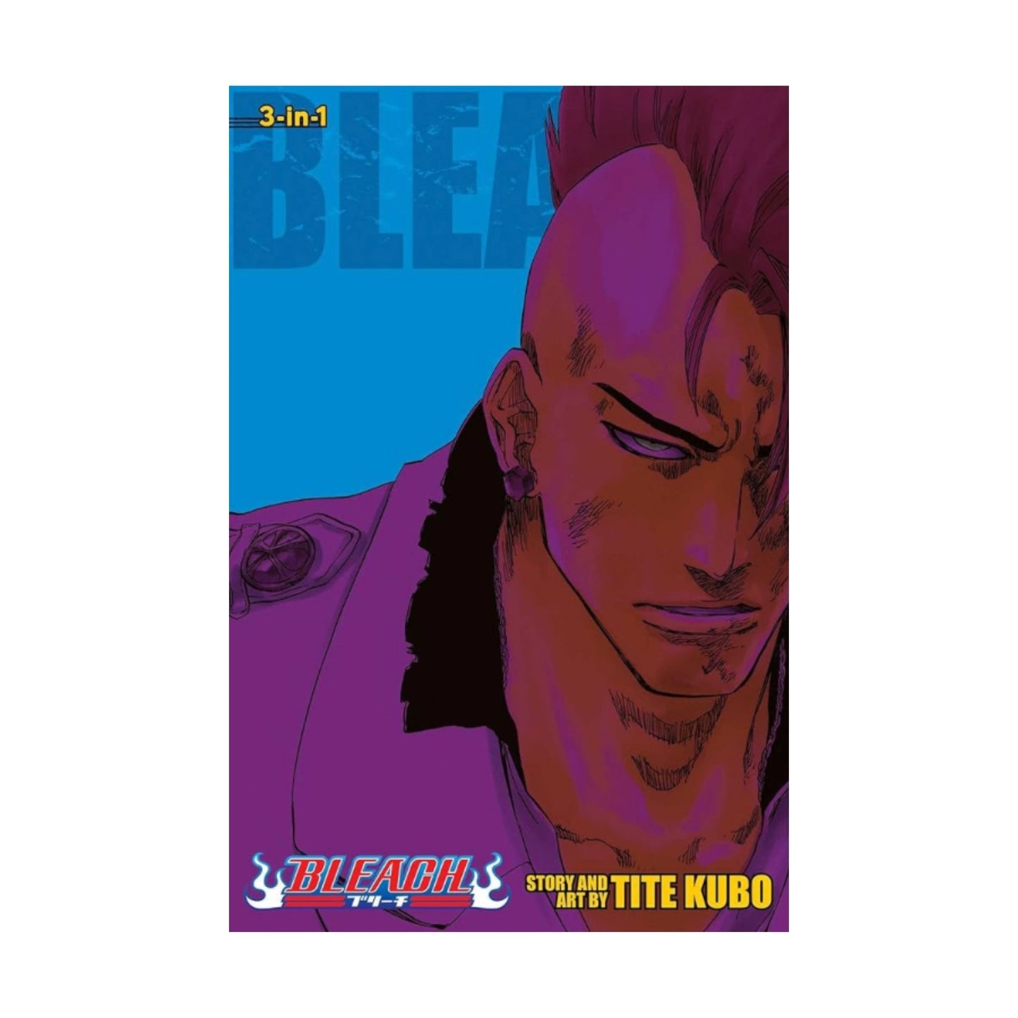 Bleach Manga