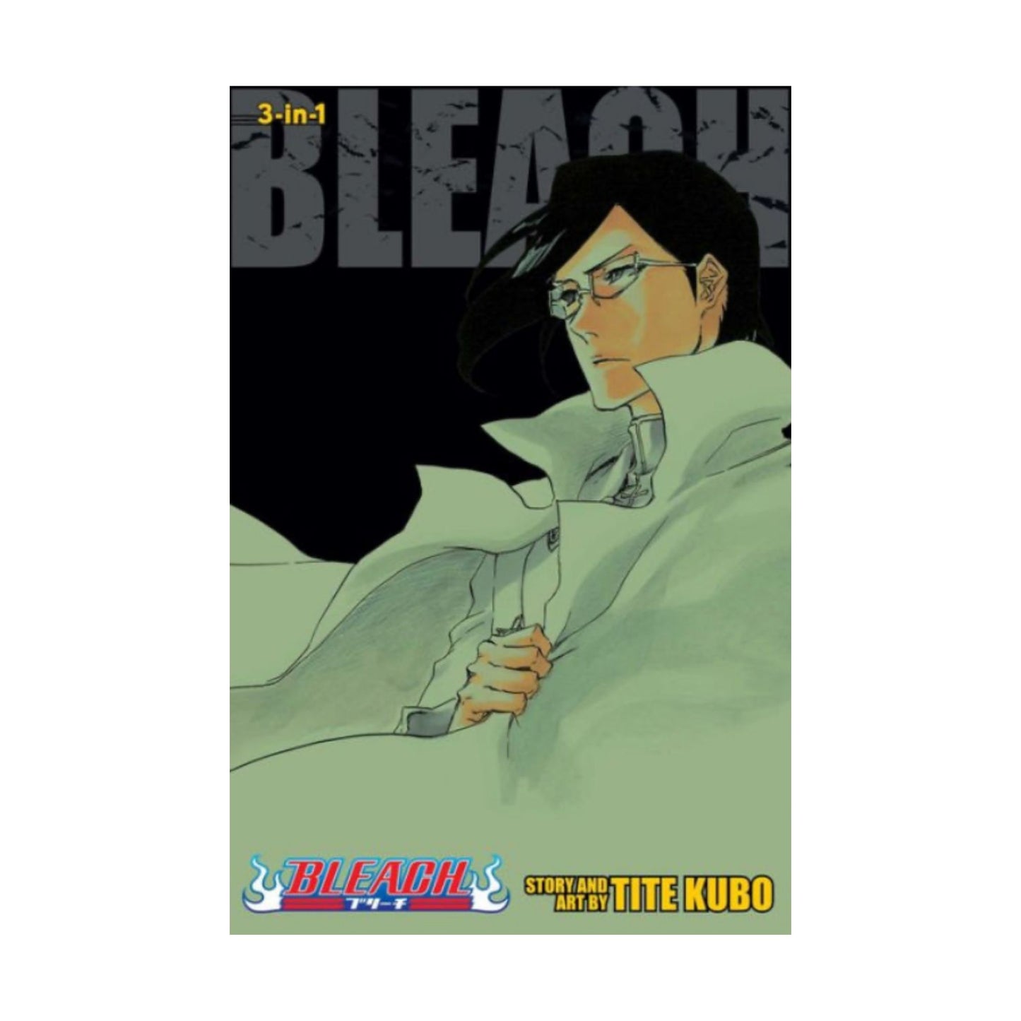 Bleach Manga