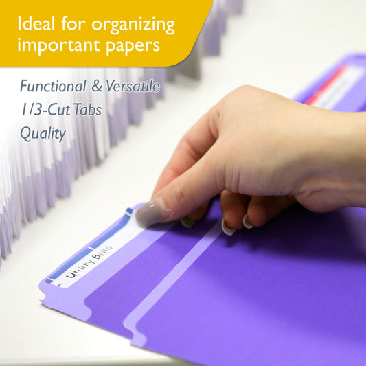 Bazic Letter Size File Folder, Color, 6pk