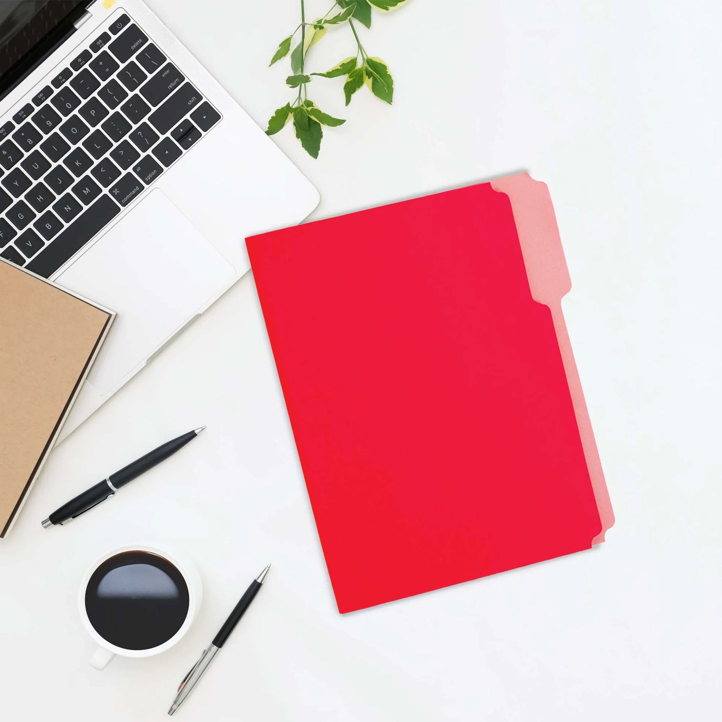 Bazic Letter Size File Folder, Color, 6pk