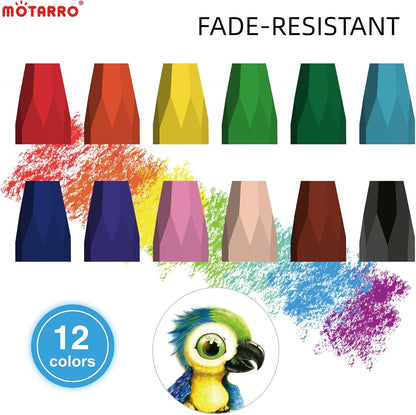 Motarro Oil Pastel 12 colours