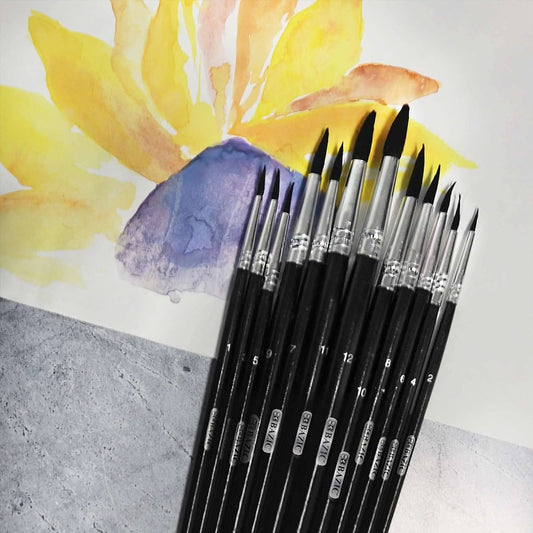 Bazic Round Natural Hair Paint Brush 12pcs