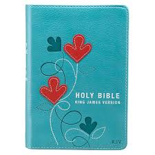 KJV The Holy Bible Compact BIble