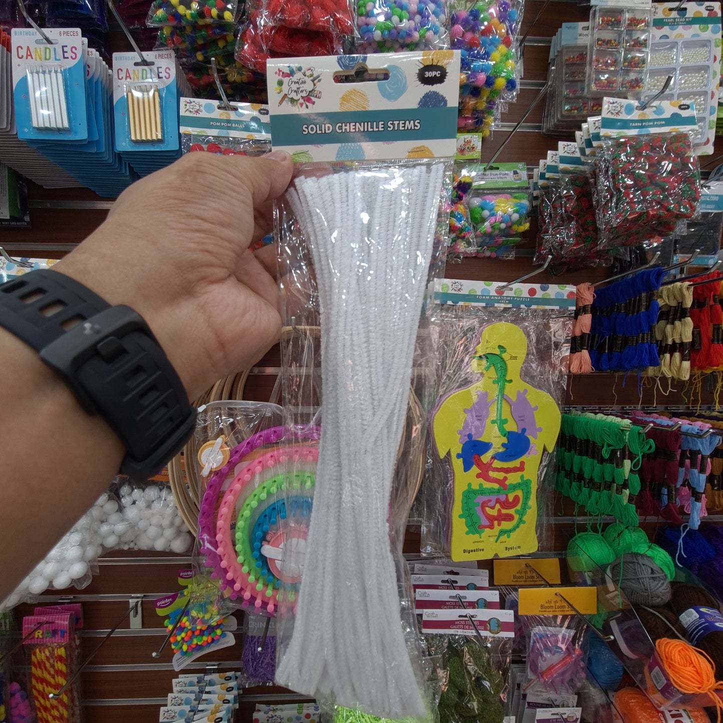 Creative Crafters Solid Chenille Stems (30 pcs)