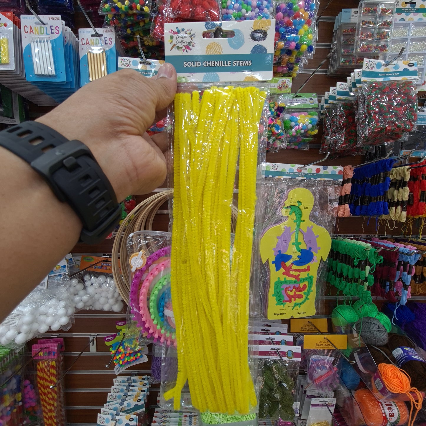 Creative Crafters Solid Chenille Stems (30 pcs)