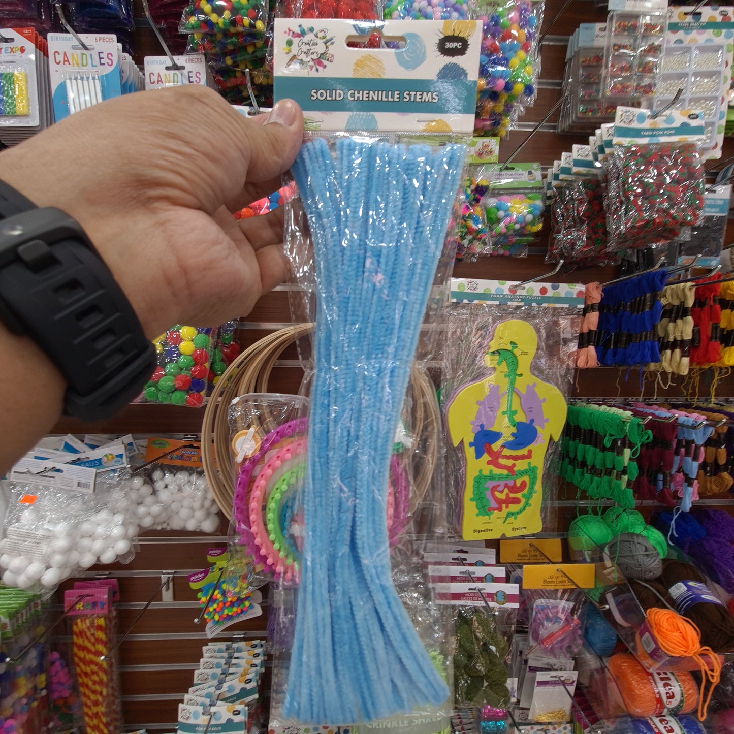 Creative Crafters Solid Chenille Stems (30 pcs)