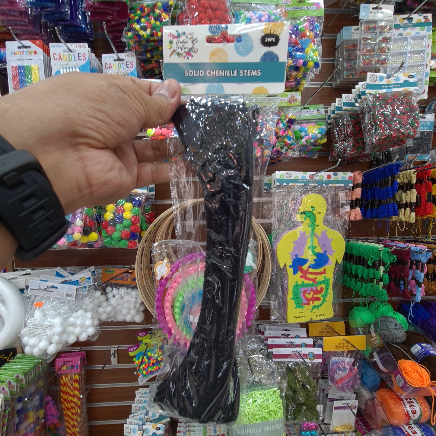 Creative Crafters Solid Chenille Stems (30 pcs)