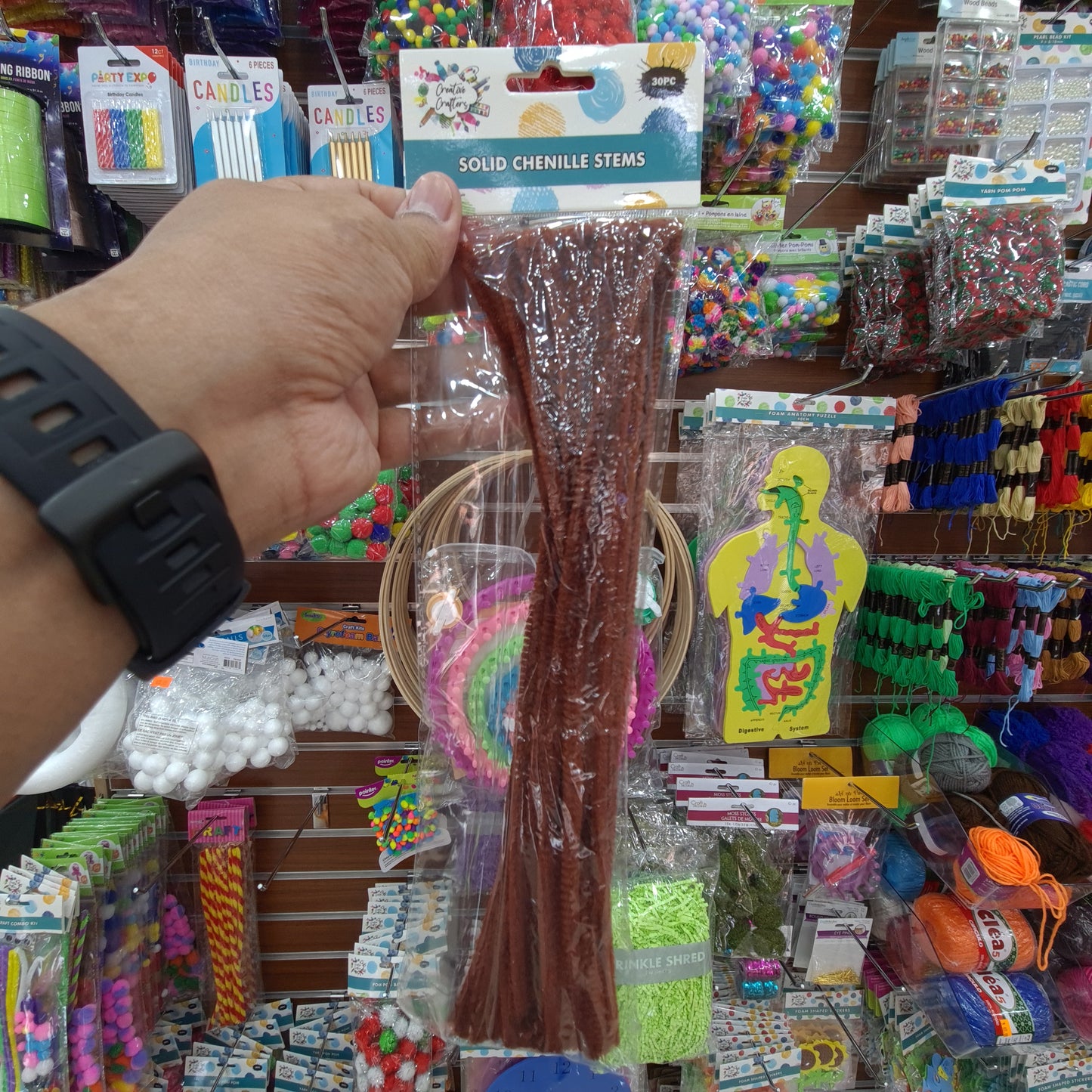 Creative Crafters Solid Chenille Stems (30 pcs)