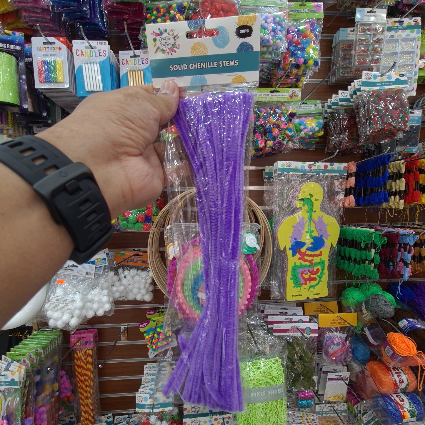 Creative Crafters Solid Chenille Stems (30 pcs)