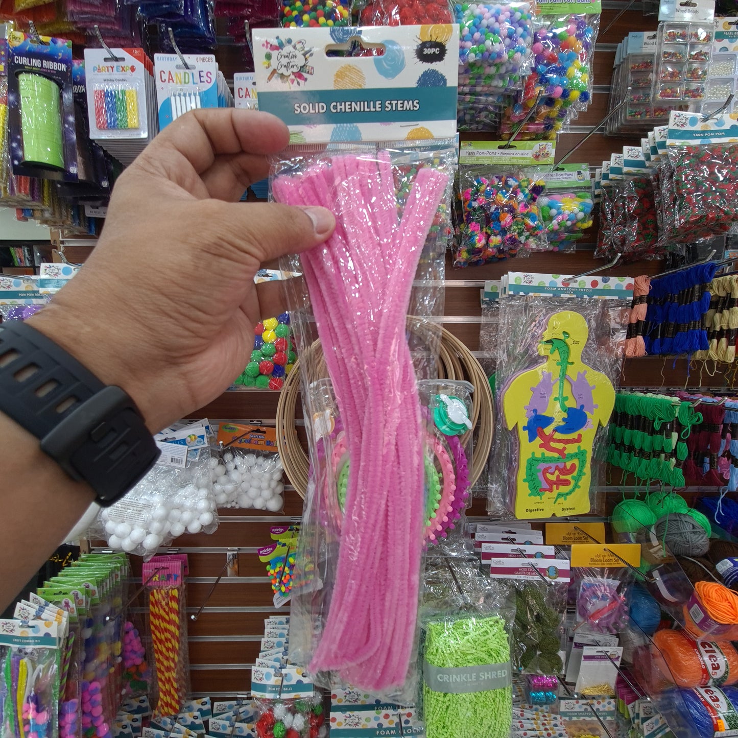 Creative Crafters Solid Chenille Stems (30 pcs)