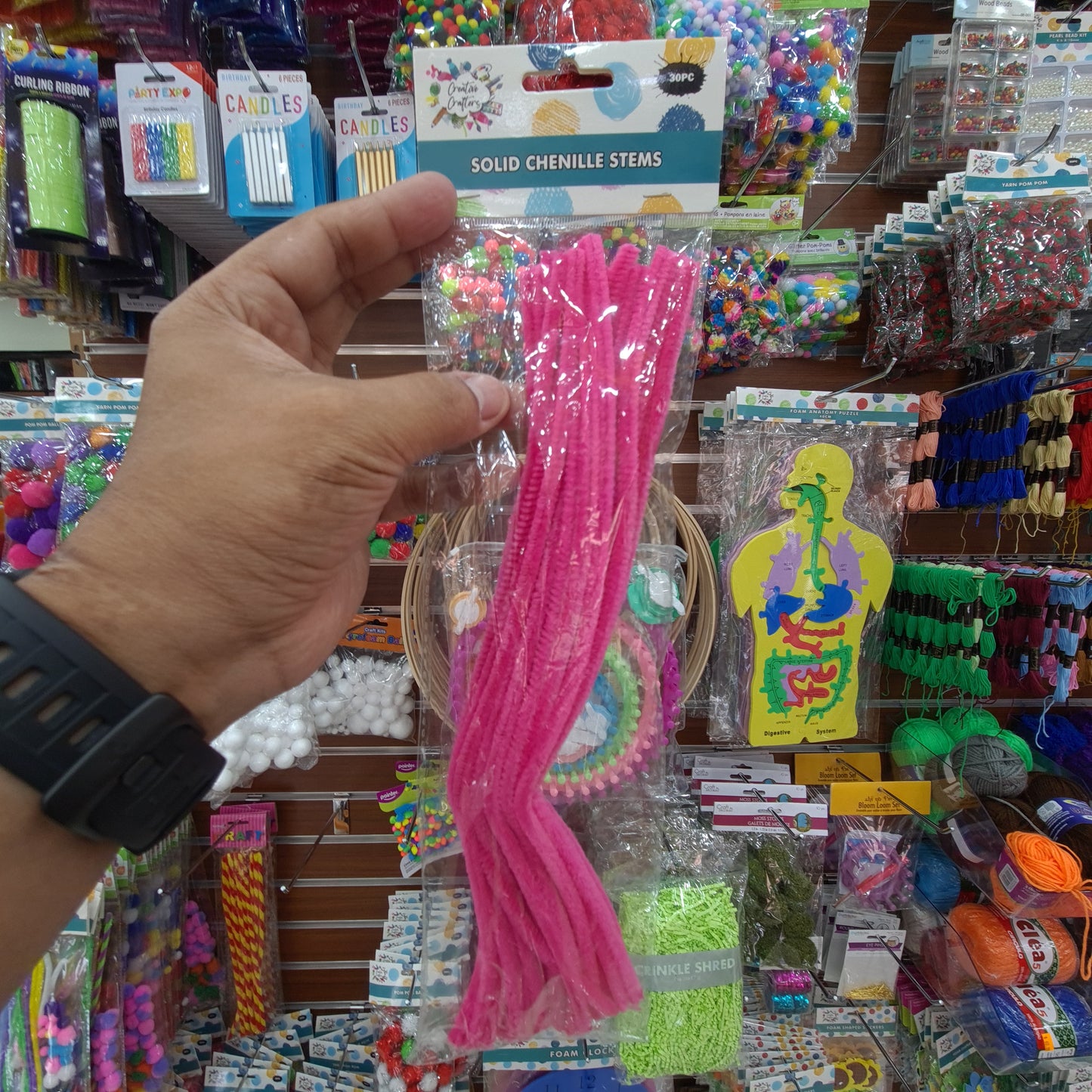 Creative Crafters Solid Chenille Stems (30 pcs)